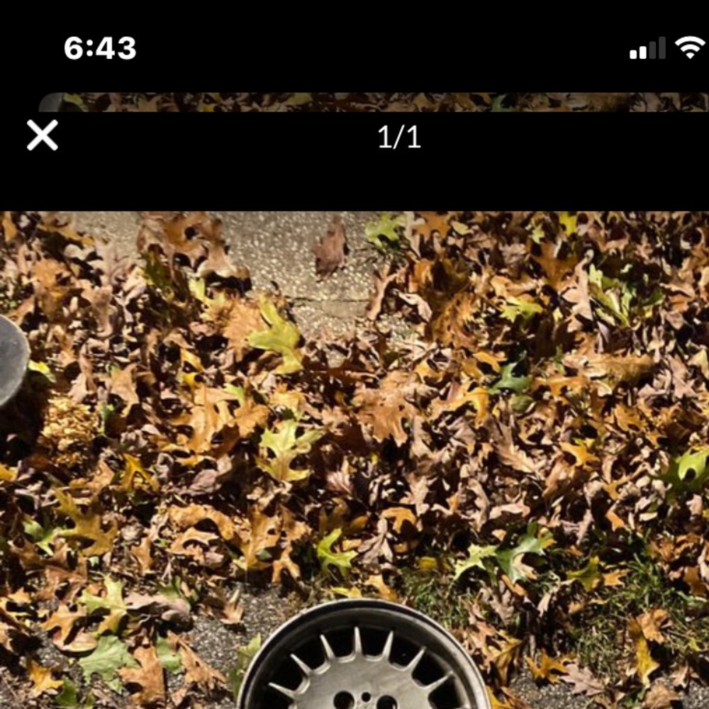 BMW rims